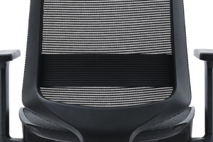Hood C19 Ergonomic Chair