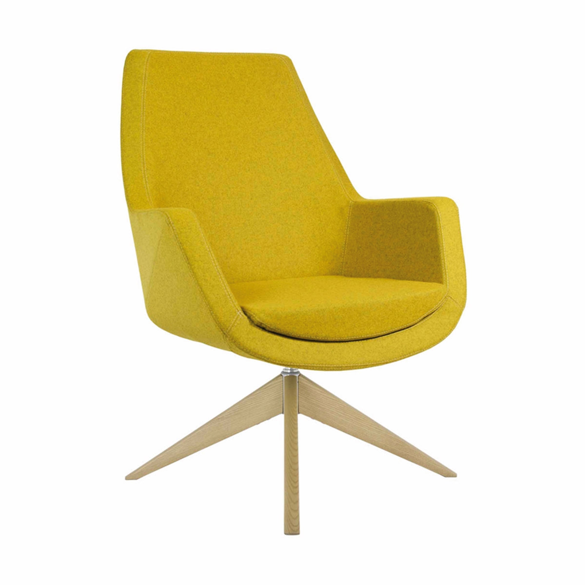 Elipsa Visitor & Lounge Chair