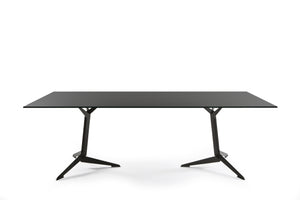 TRI conference table