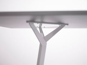 TRI conference table