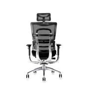 Hood i29 Ergonomic Chair